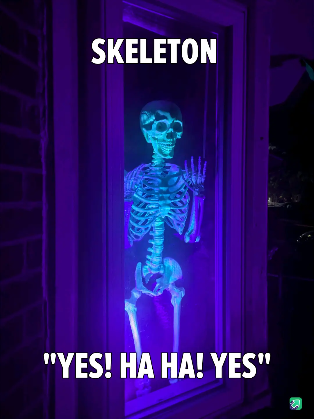 This Idea Came to Me While Setting Him Up