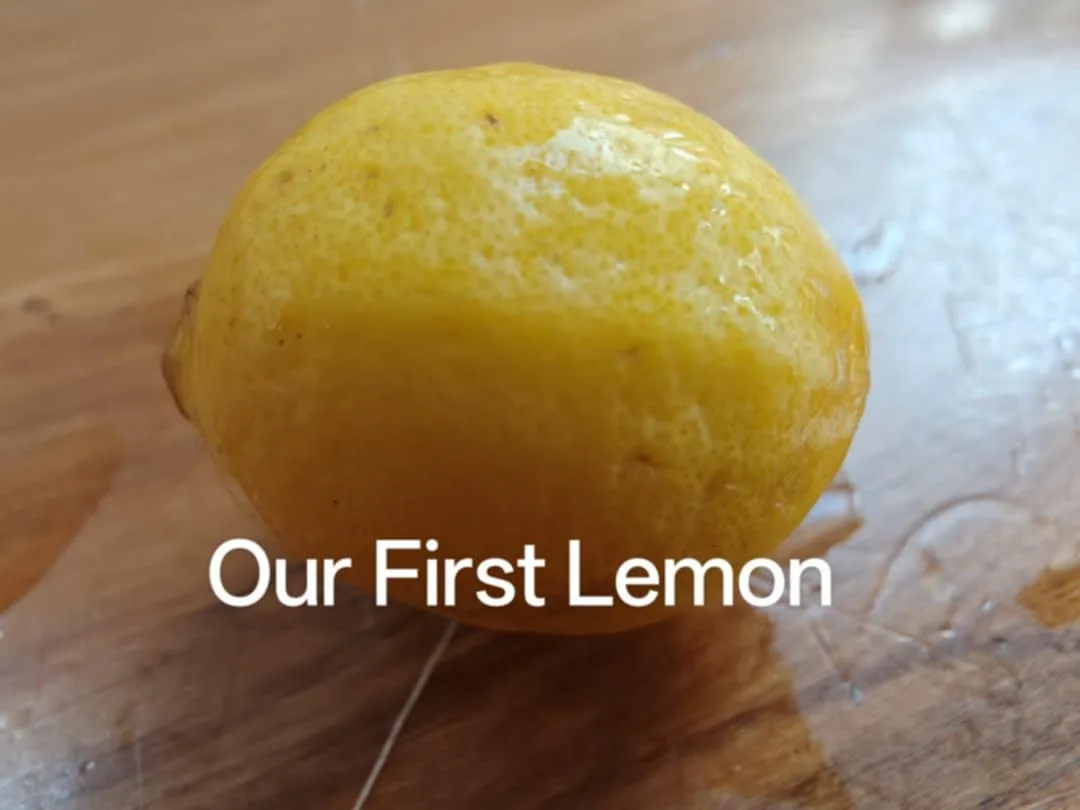 A close-up photo shows a single, slightly blemished yellow lemon resting on a wooden cutting board with visible water…
