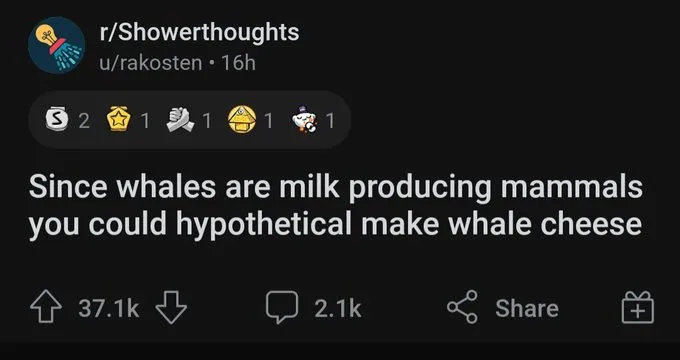 A screenshot of a Reddit post from r/Showerthoughts shows a comment that reads 'Since whales are milk producing mammals you…