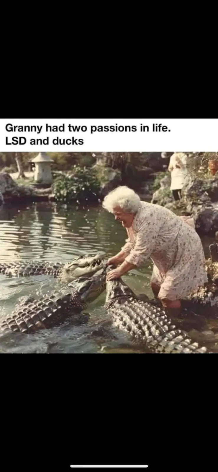 An elderly woman with white hair, wearing a floral dress, is kneeling at the edge of a pond and playfully interacting with…