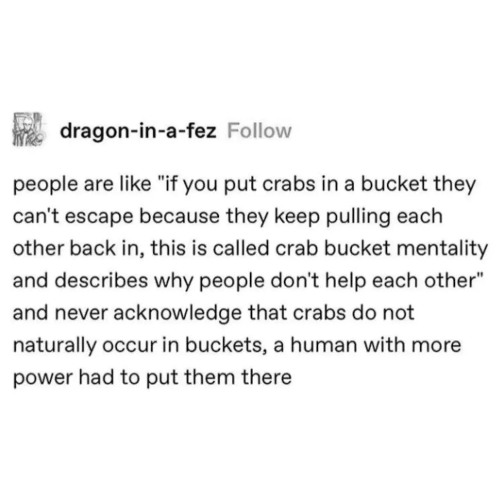 The image displays a social media post by 'dragon-in-a-fez' with black text on a white background. The text humorously…