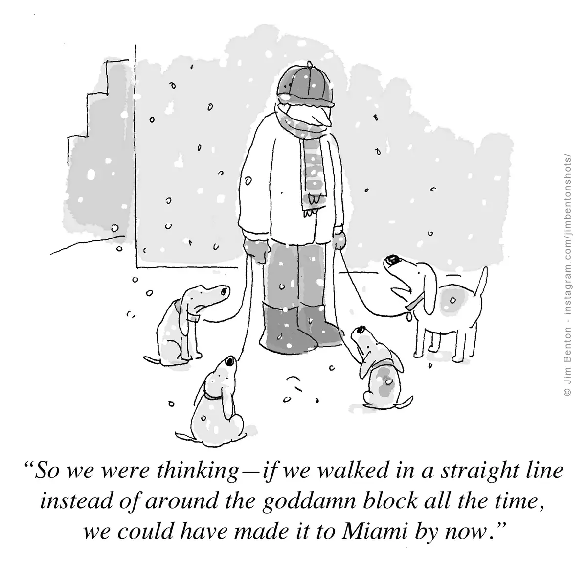 A black-and-white cartoon depicts a person bundled in winter gear, holding leashes for four dogs in a snowy urban setting…