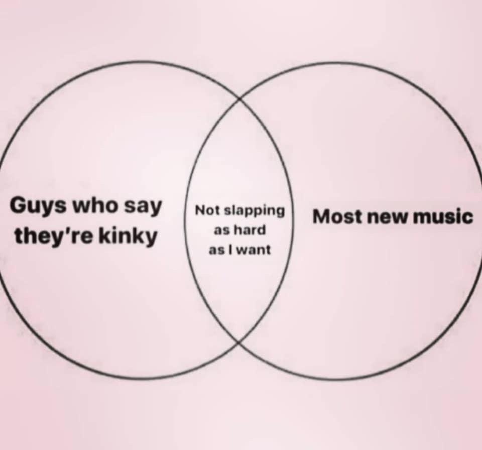 A Venn diagram with two overlapping circles on a pink background. The left circle is labeled 'Guys who say they're kinky'…
