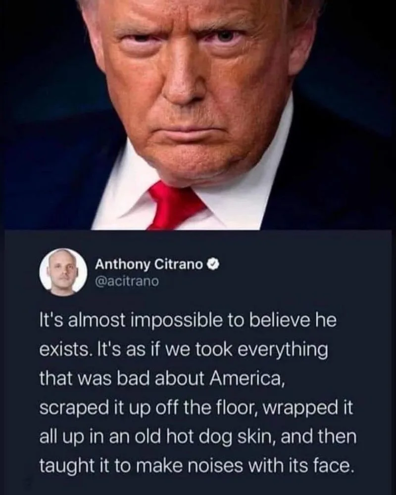 The image shows a close-up of Donald Trump with a stern, downward-looking expression, wearing a dark suit and red tie…