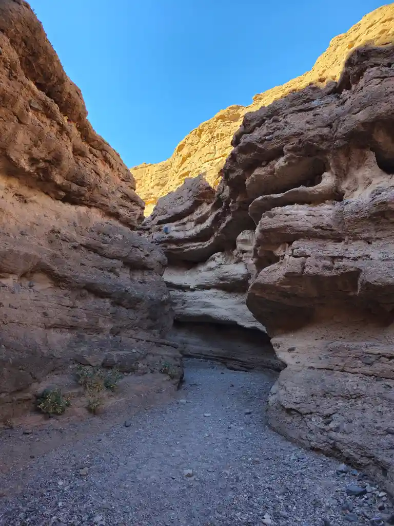 A narrow canyon with rugged, layered rock walls under a clear blue sky, with a gravel path leading into the distance…