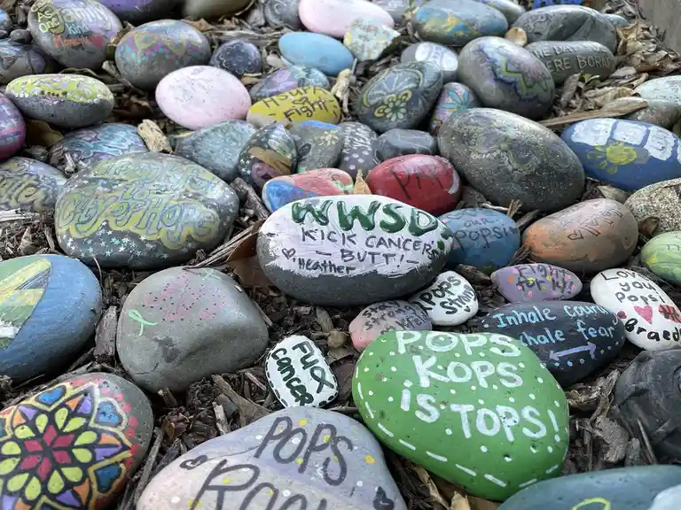 A close-up of many colorful, hand-painted rocks scattered on mulch, each with messages of support and encouragement…