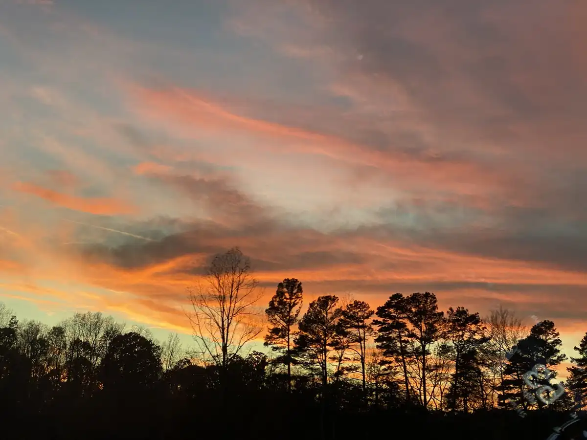 A photograph of a vibrant sunset with orange and pink clouds against a blue sky, silhouetting trees in the foreground. The…