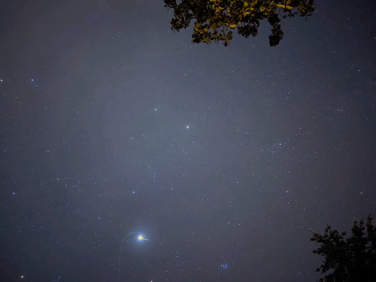 A night sky filled with stars, framed by tree branches at the top and bottom, features a bright meteor streaking across the…