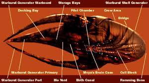 A diagram of the spaceship Moya from Farscape, with labels pointing to various parts like 'Starburt Generator Starboard,'…