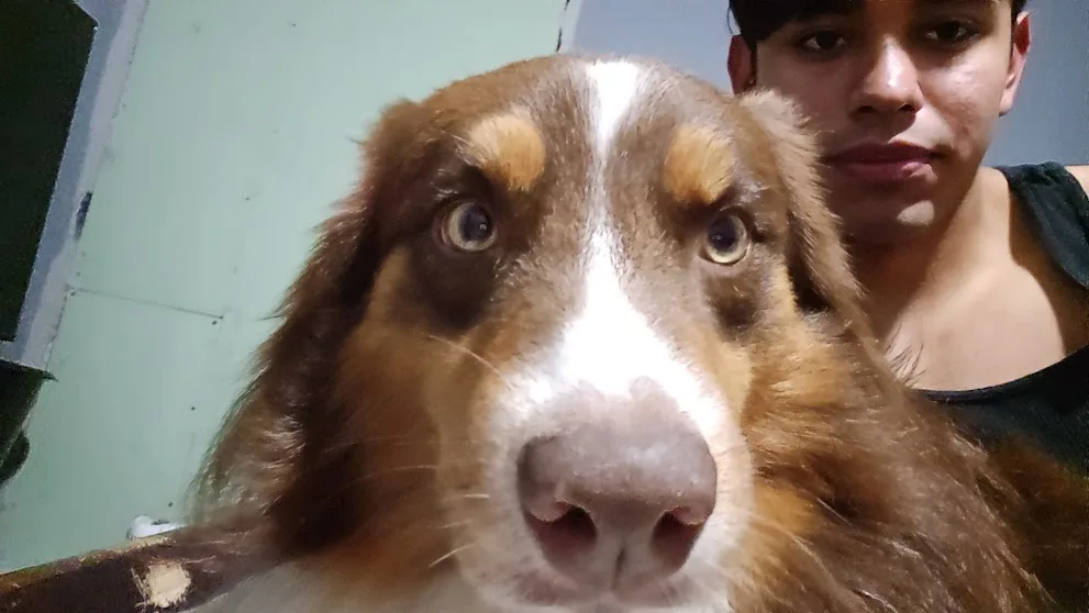 A close-up selfie shows a brown and white dog with large, expressive eyes dominating the foreground, while a person with…