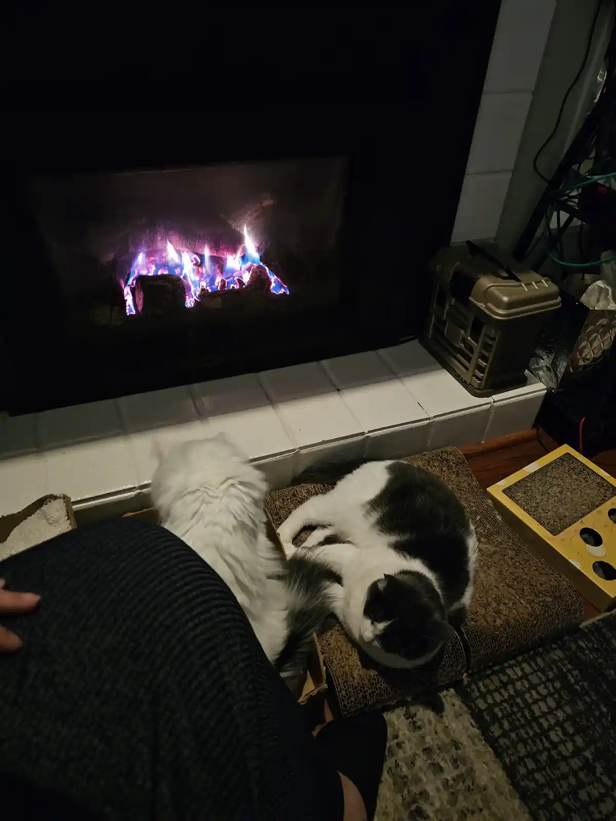 The coziest spot on a chilly Caturday evening.