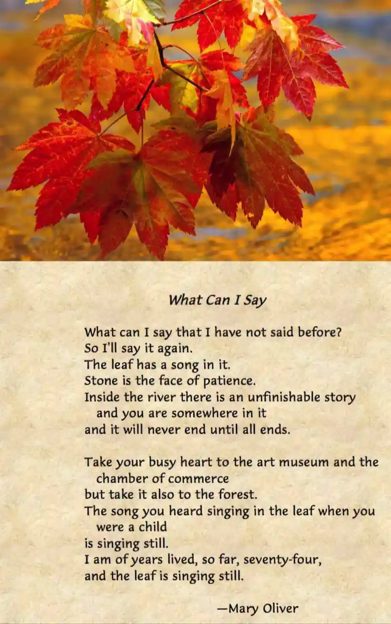 The image displays a vibrant cluster of red and orange autumn maple leaves against a blurred golden background. Below the…