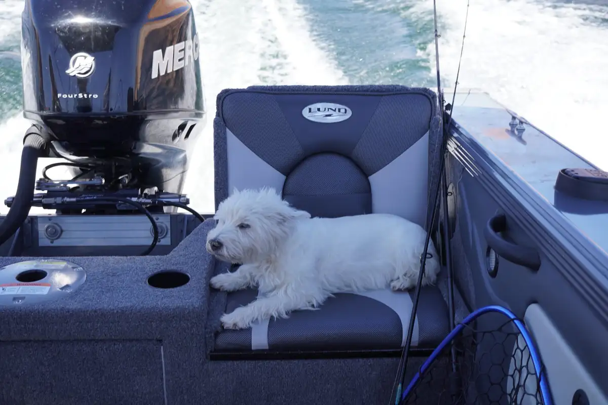 A fluffy white dog is lounging on a gray and black LUNO branded boat seat, looking relaxed and slightly sleepy. Behind the…