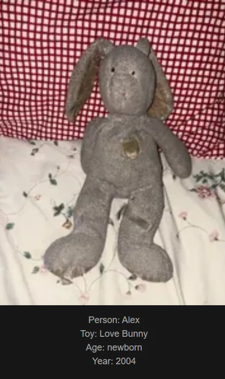 A worn, grey stuffed bunny toy sits on a floral-patterned blanket against a red-and-white checkered background. Text at the…