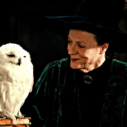 A six-panel grid shows Professor Pomona Sprout from Harry Potter, wearing her green robe and hat, smiling at a white owl…