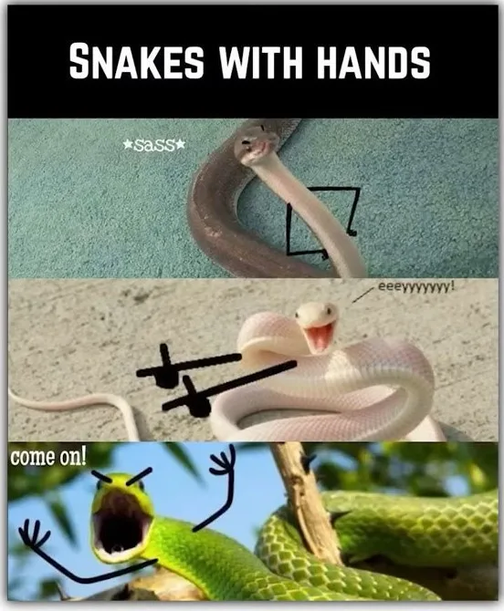 Three images of snakes with cartoon hands drawn on them, each with text: top snake looks smug with "*sass*", middle snake…