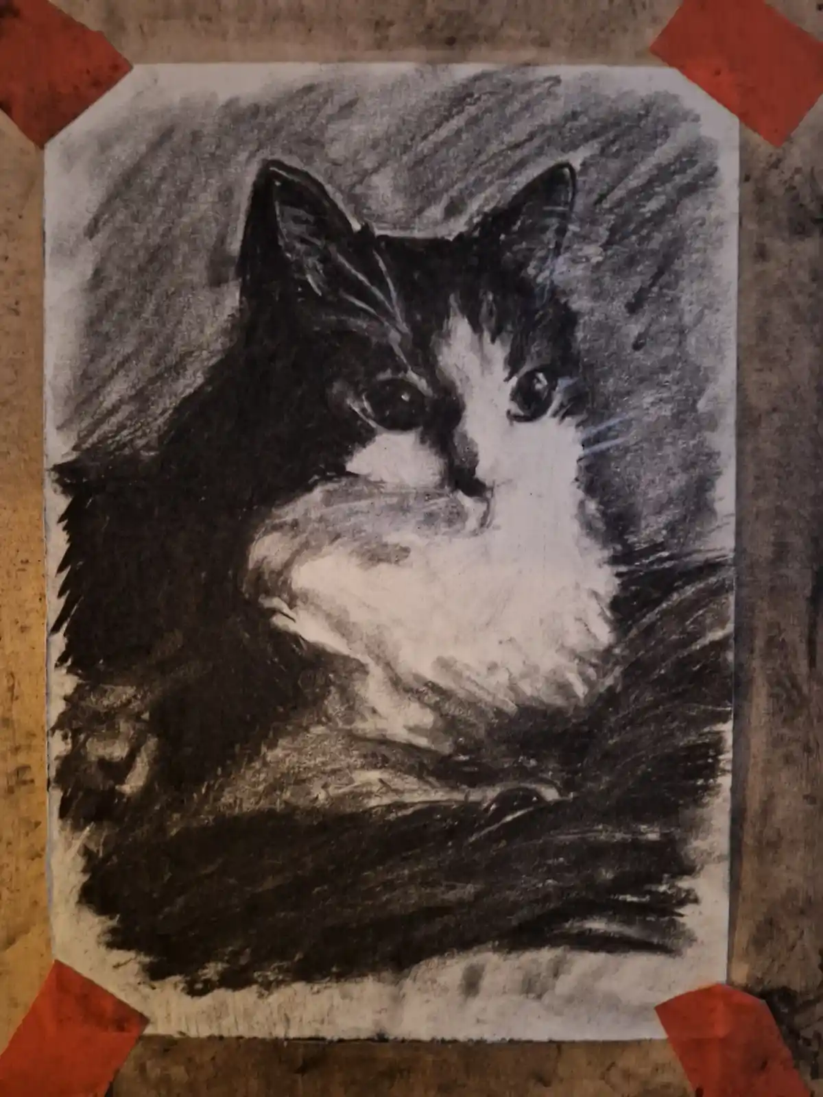 A charcoal sketch of a black-and-white cat's face on paper, taped to a wooden surface with red tape at the corners. The…