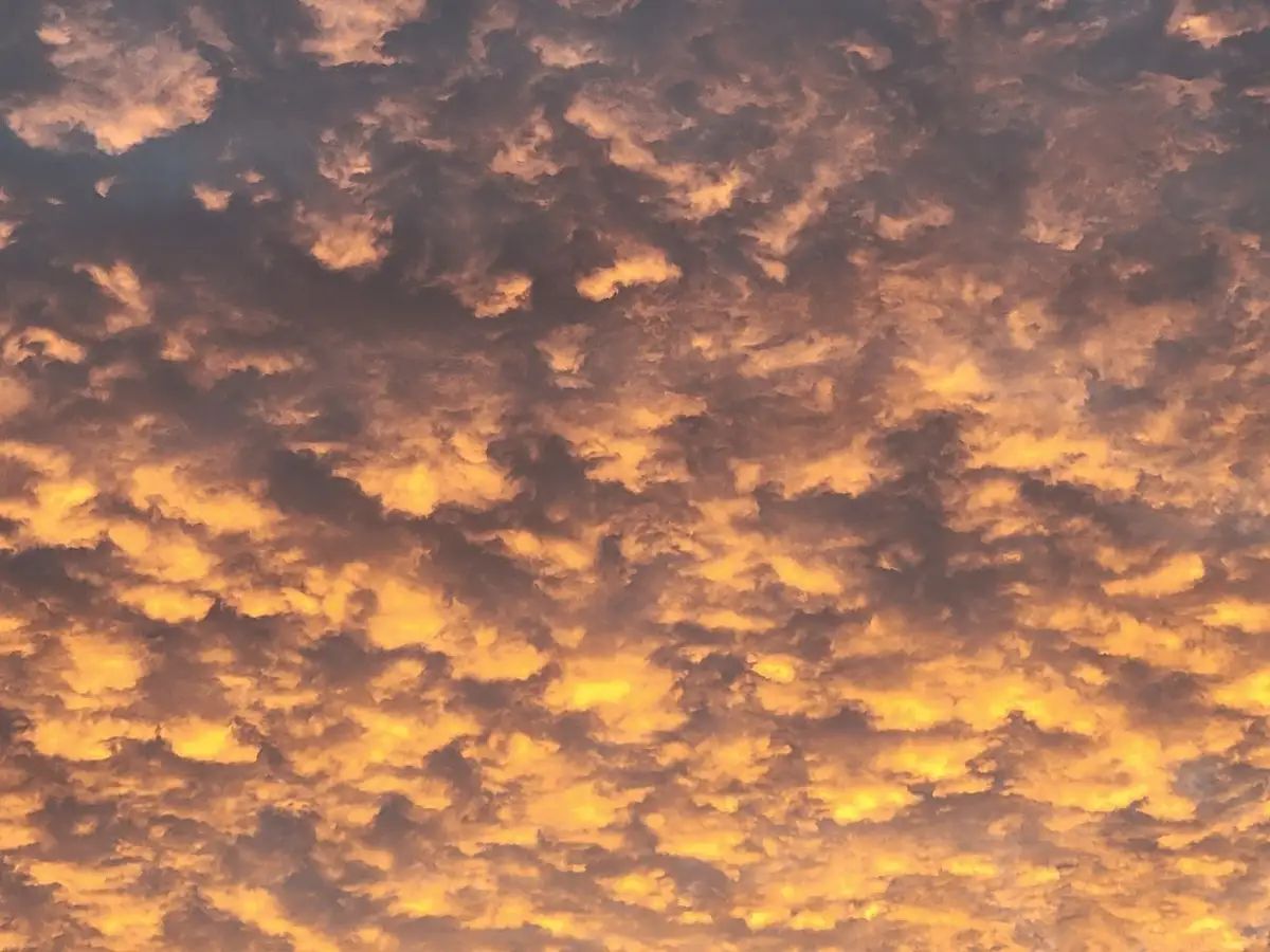 A dramatic sky filled with textured, orange-gold clouds illuminated by sunset or sunrise, with no visible people or objects…