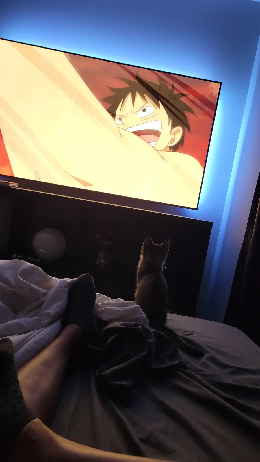 A person and their cat are sitting on a bed watching a TV screen displaying an anime scene of Luffy from One Piece shouting…