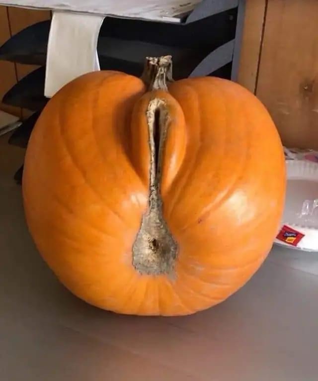 a close-up photo of an orange pumpkin sitting on a countertop, its stem and natural indentations forming a shape that…