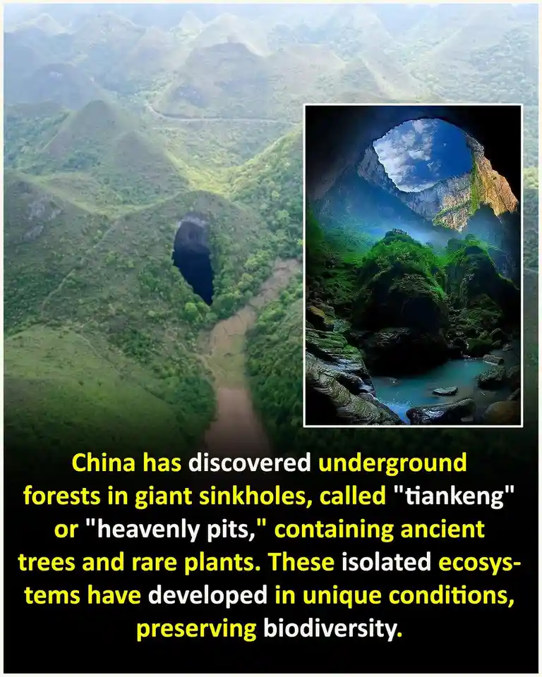 The image displays a large aerial view of a lush green mountainous landscape with a prominent dark sinkhole. Inset is a…