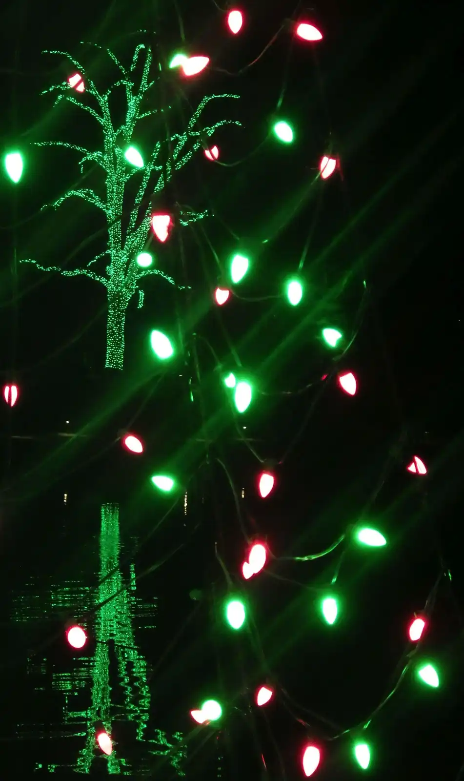 Exploring the Beauty of Longwood Gardens