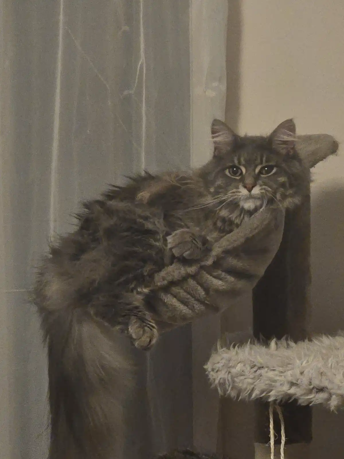 Look at Me, I Still Fit Here!