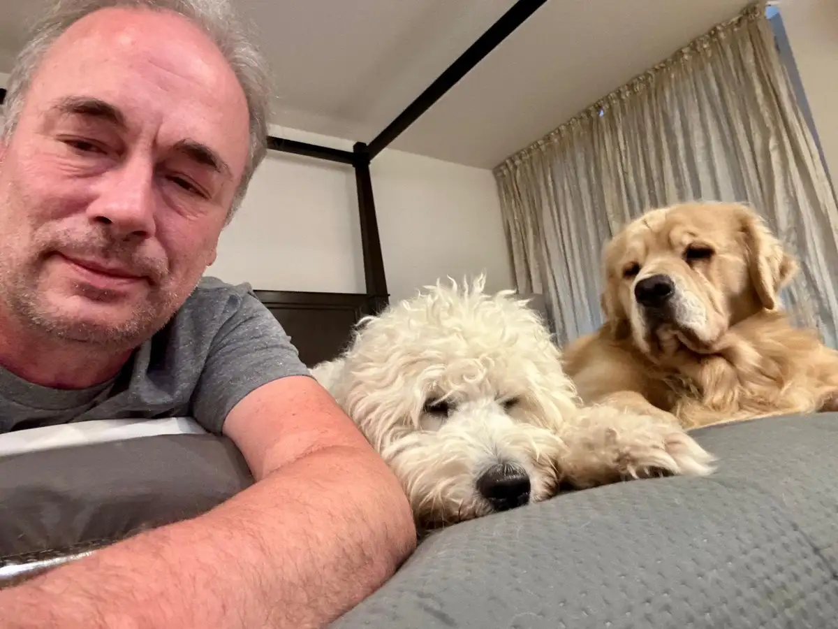 A man in a gray t-shirt lies on a bed next to two sleeping dogs — a fluffy white one and a golden retriever — both with…