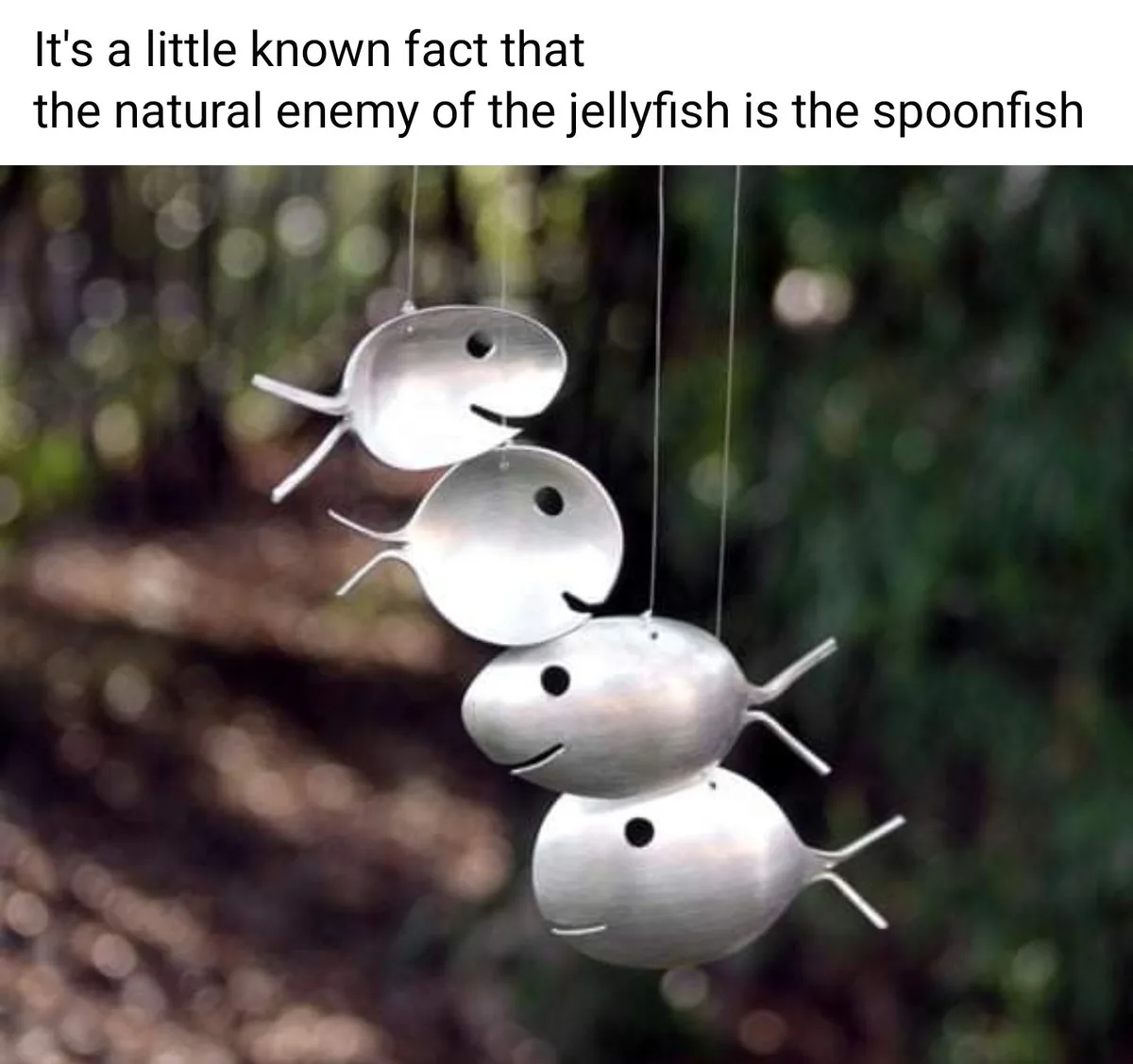 The image shows four metallic, smiling fish-shaped wind chimes hanging from strings against a blurred green and brown…