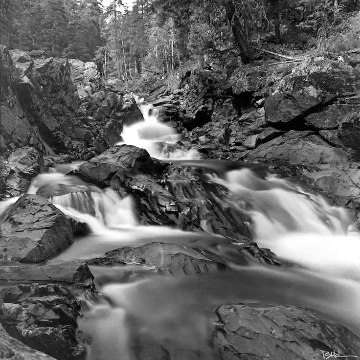 A black-and-white long-exposure photograph of a rocky stream with blurred water flowing over dark rocks, surrounded by dense…