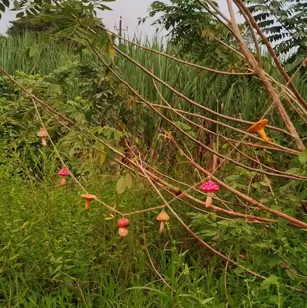 A string of decorative mushroom ornaments, including red-and-white spotted and orange varieties, hangs between tree branches…