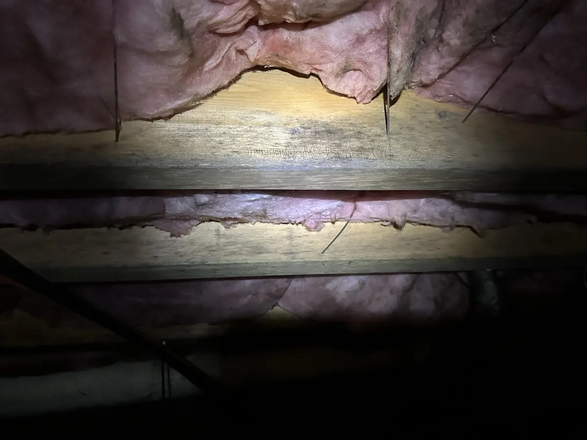Understanding Floor Joists: The Backbone of Your Home