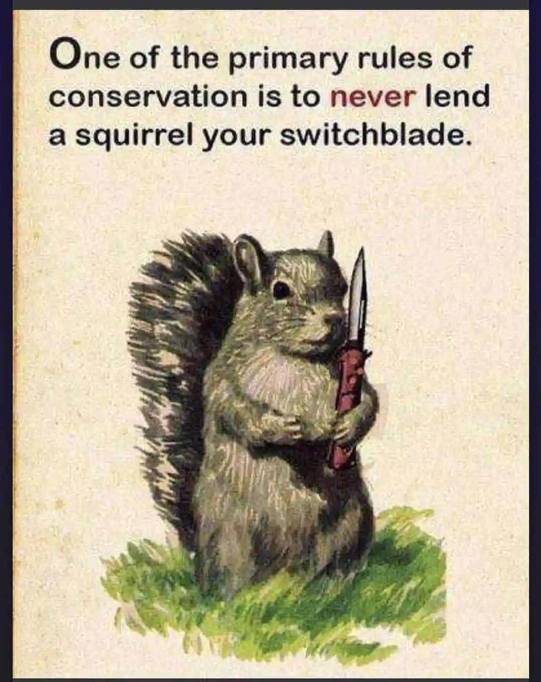 An illustrated squirrel stands upright on a patch of green grass, holding a red-handled switchblade knife with both paws…