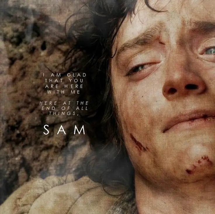A close-up image of Samwise Gamgee from 'The Lord of the Rings' movie, looking exhausted and injured with dirt and blood on…