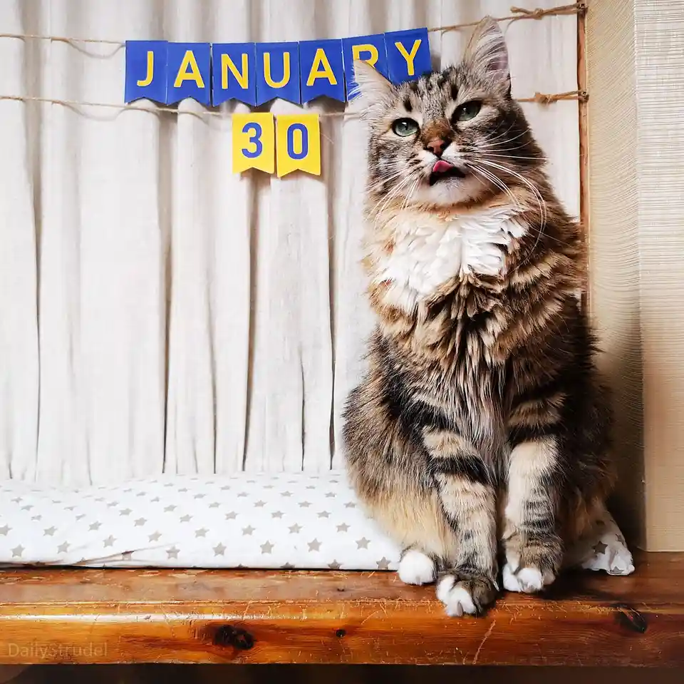 Mark your calendars for January 30!