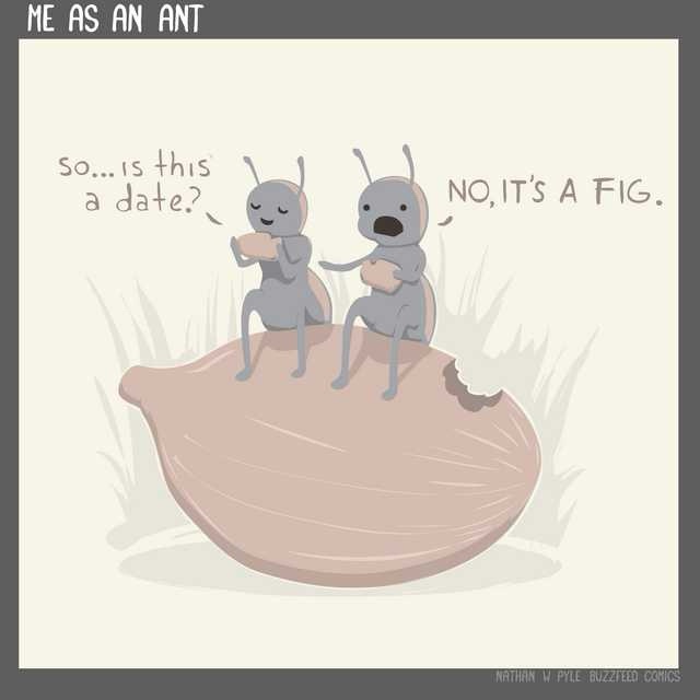 Two cartoon ants sit on a large, brown, fig-shaped object in a grassy area. One ant asks, 'so... is this a date?' while…