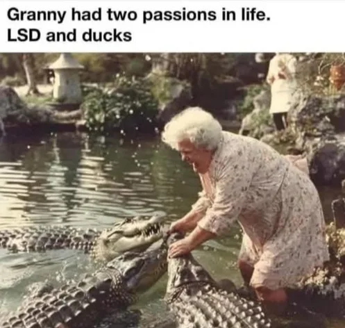 An elderly woman with white hair, wearing a floral dress, is kneeling by a pond and petting two alligators. The image has…