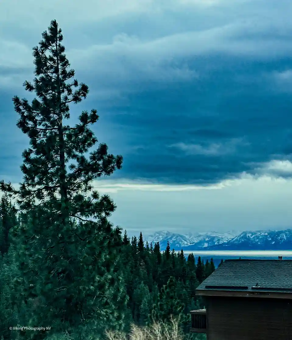 A moody, blue-toned landscape photo shows a tall pine tree in the foreground, with a wooden house roof visible on the right…