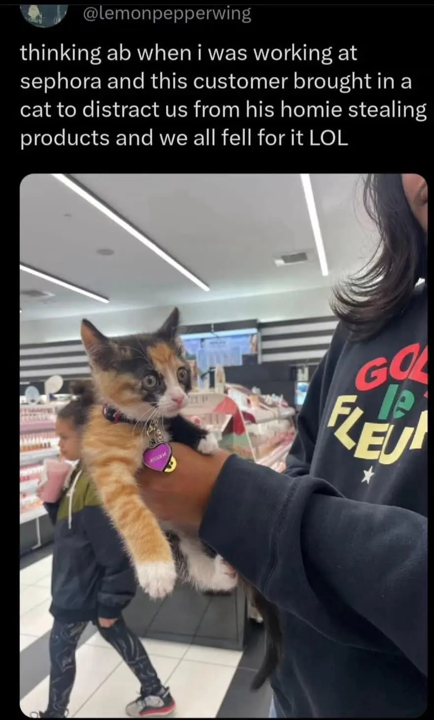 A person holds a calico kitten with a purple heart-shaped tag that reads 'KILWA' in a brightly lit Sephora store. In the…