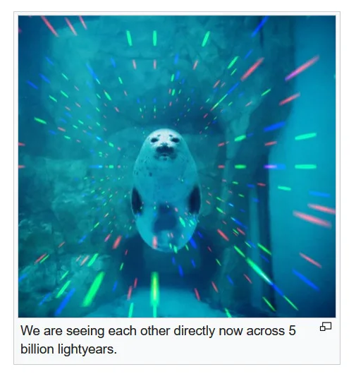 A seal is shown swimming underwater in an aquarium tunnel, with colorful laser lights streaking outward from behind it…