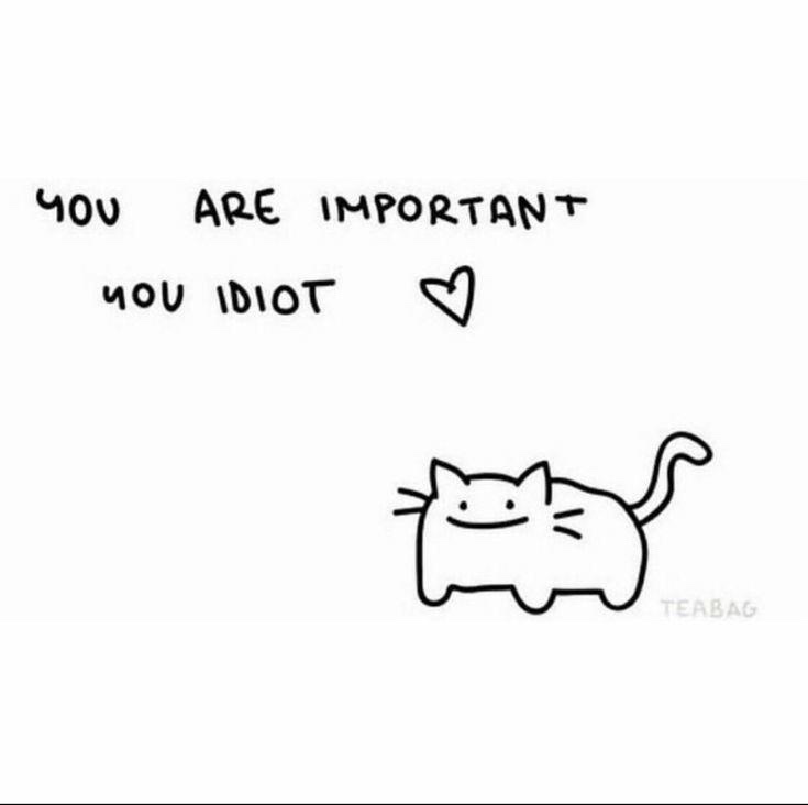 A simple black-and-white drawing shows a cartoon cat with a smug expression and a curved tail. Above the cat…