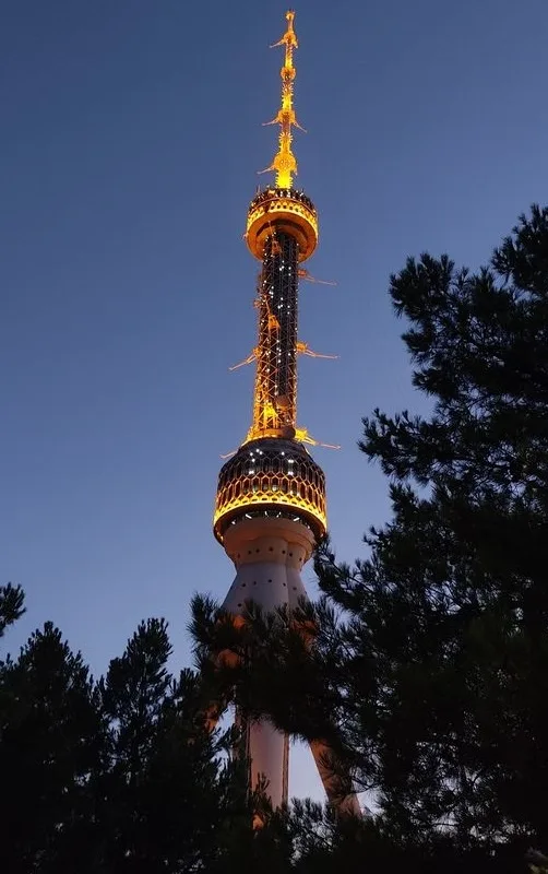 A low-angle photo of a tall, illuminated tower against a twilight sky, framed by dark pine tree branches in the foreground…