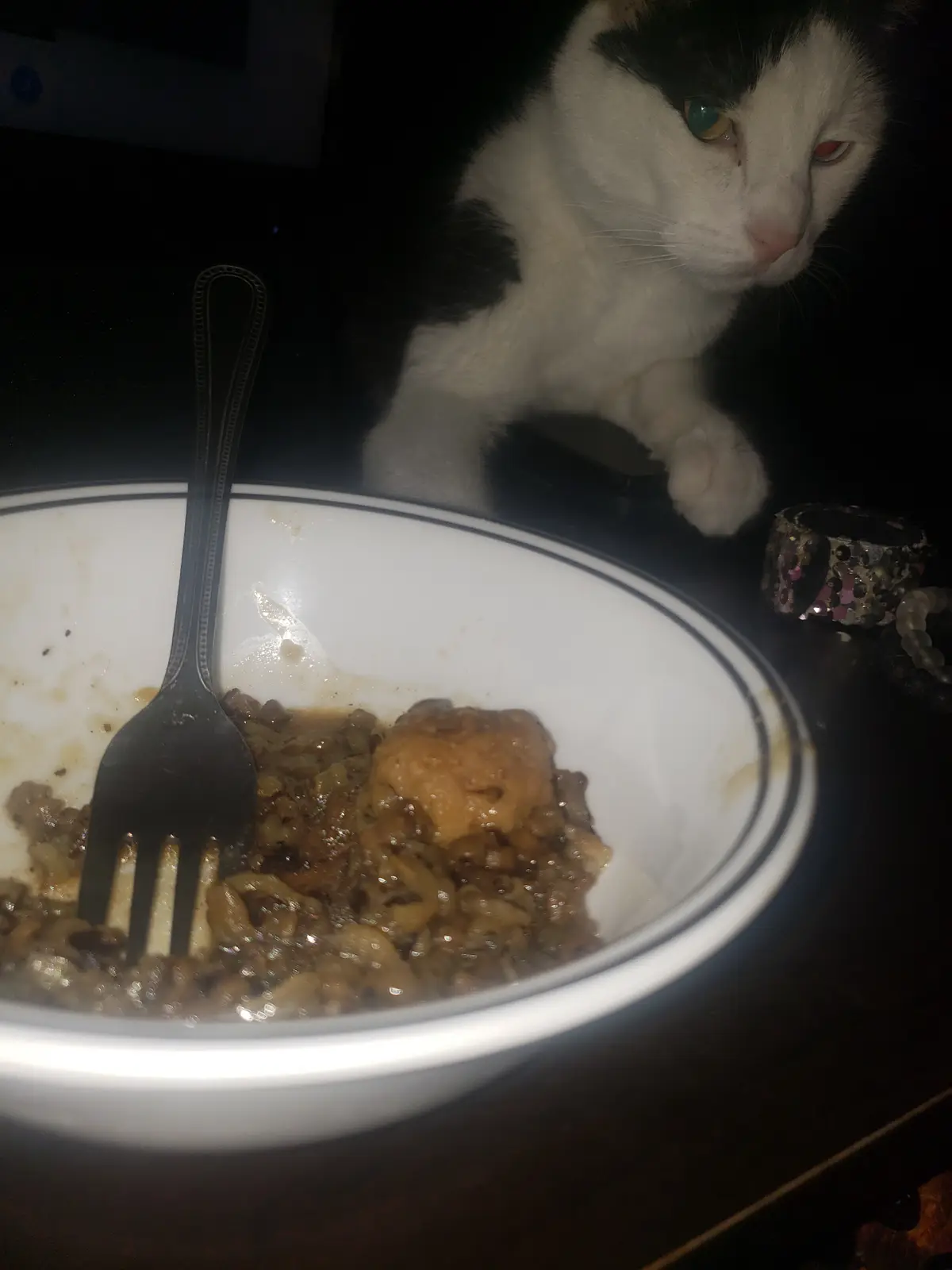Mr. Fitz's Quest for a Caturday Treat