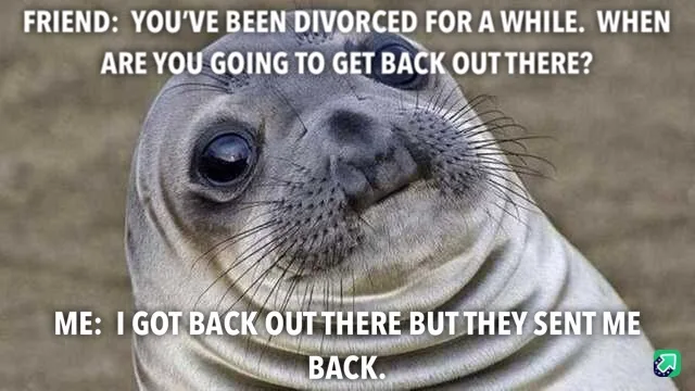 A close-up image of a seal with large, expressive eyes and a slightly smug or self-satisfied expression. White text is…