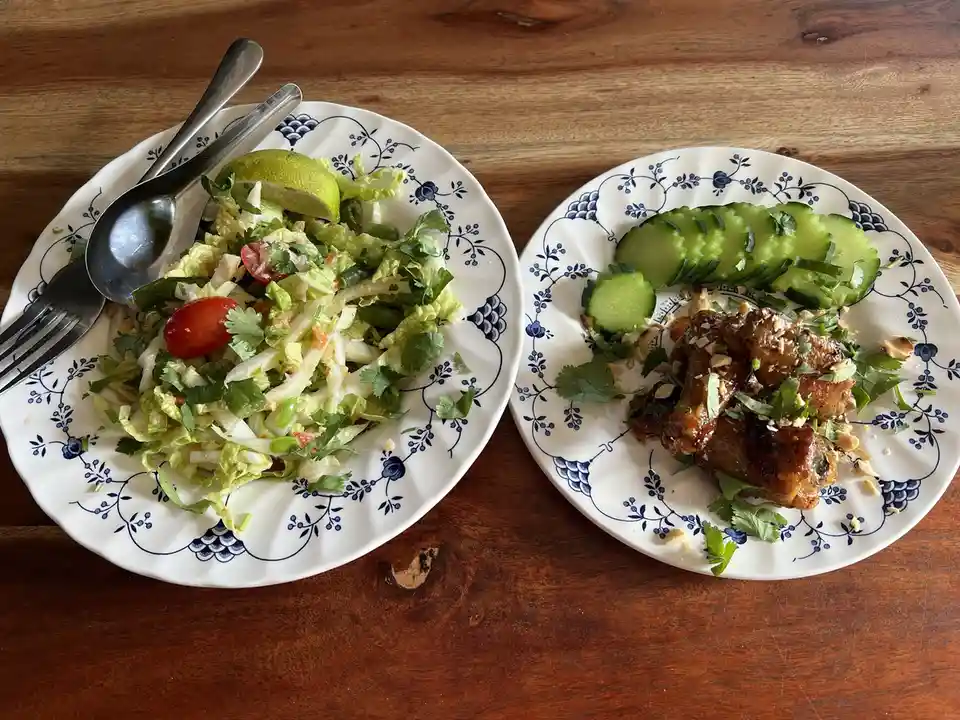 Two plates of food sit on a wooden table; one holds a fresh green salad with lime, tomato, and herbs, the other has glazed…