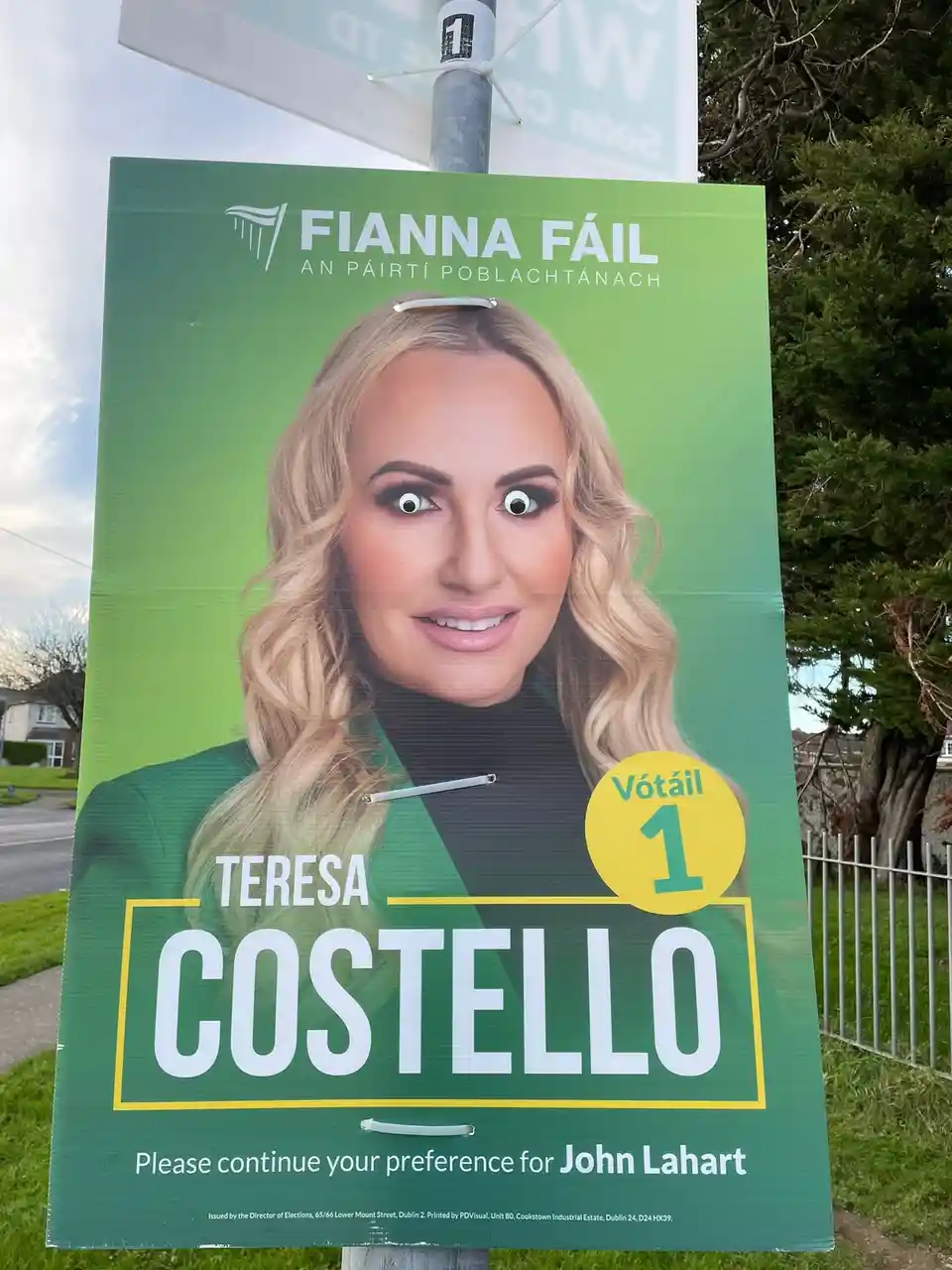 A green Irish Fianna Fáil election poster for Teresa Costello, featuring her smiling face with digitally added cartoonish…