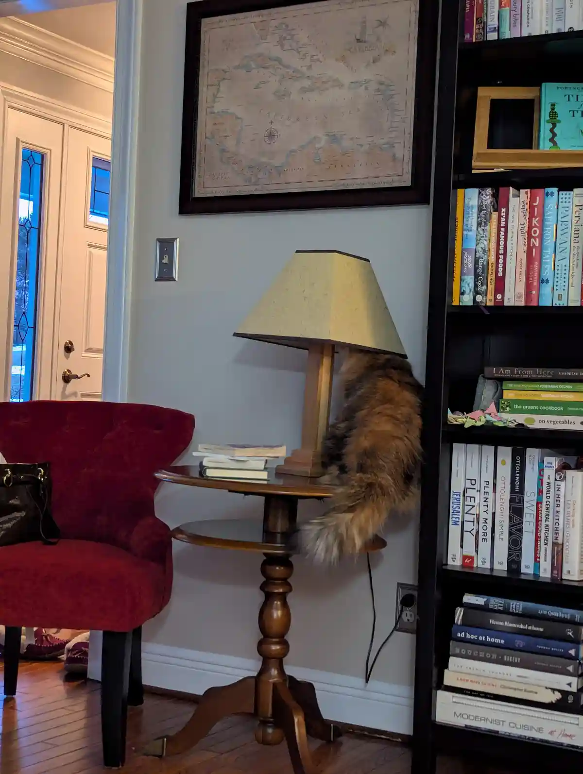A long-haired cat is sitting on a wooden side table, with its body hidden behind a lampshade, making it appear as if the…