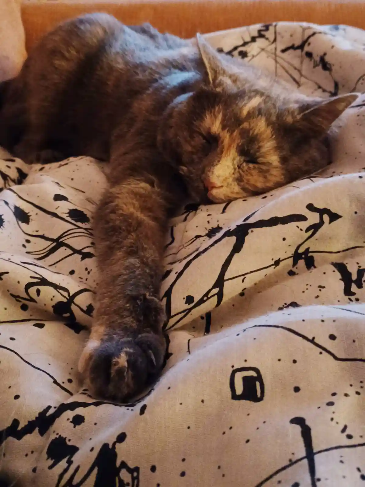 A brown and black tortoiseshell cat is curled up and sleeping soundly on a white blanket with black abstract patterns, its…