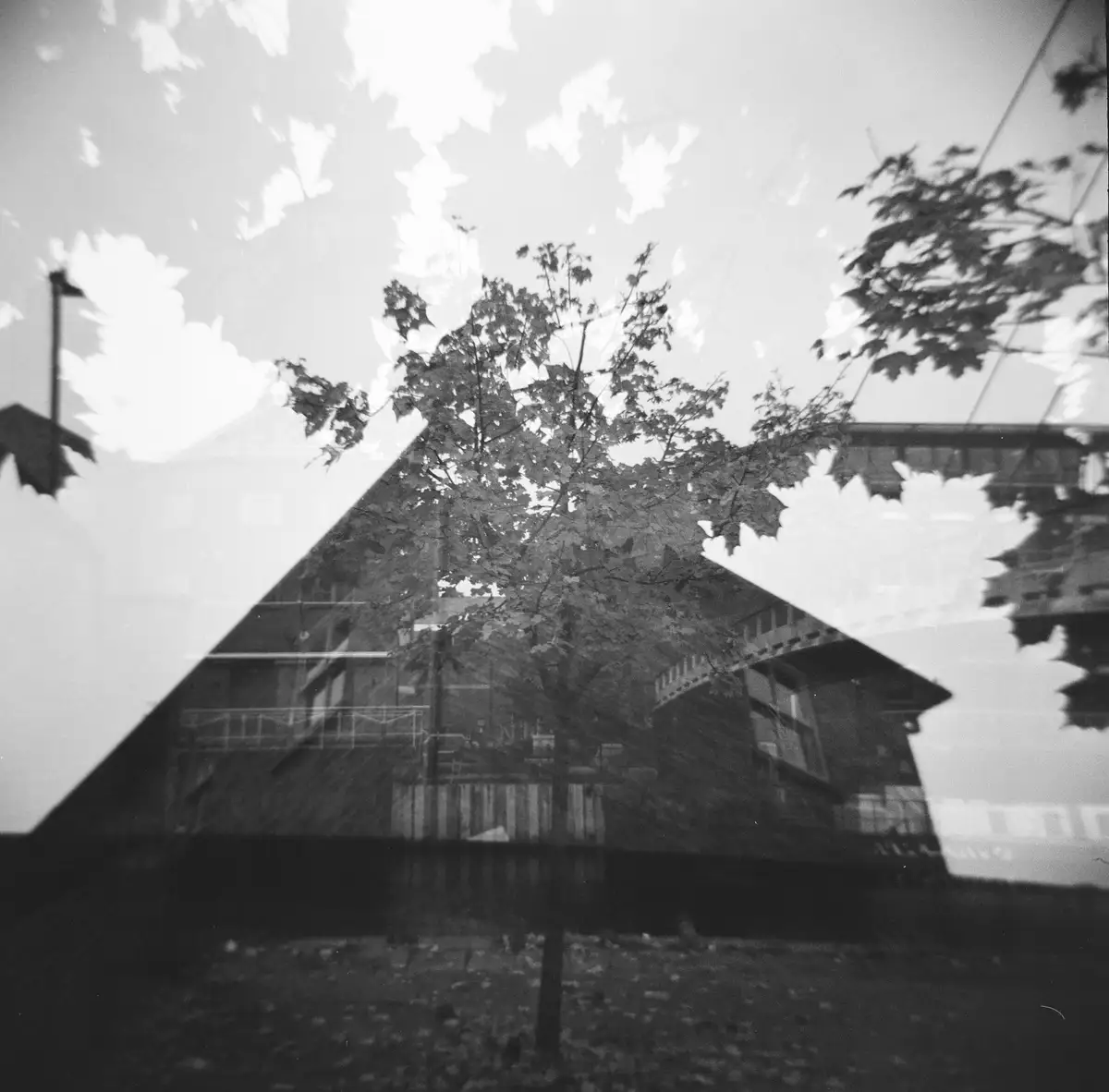 A black-and-white double exposure photograph shows a tree superimposed over a building, with leaves and branches creating a…