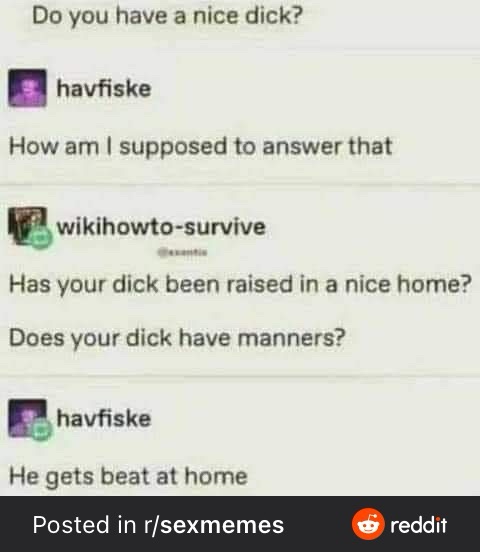 A screenshot of a Reddit comment thread where user 'havfiske' asks 'Do you have a nice dick?' and is met with a sarcastic…